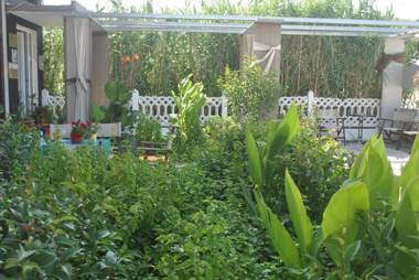 Alexander Apartments