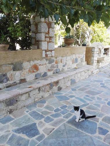 Apartment in Olive Grove