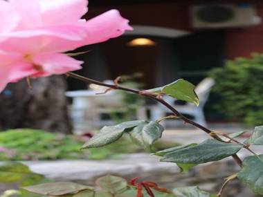 Pieros Studio Tsimis