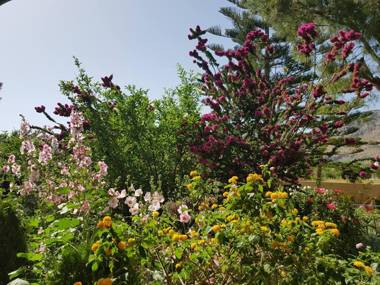 George Beach Studios