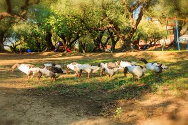 Alykes Park Bungalows