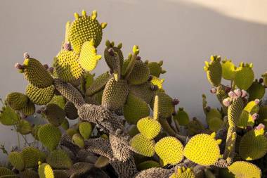 Nanakis Beach Luxury Apartments