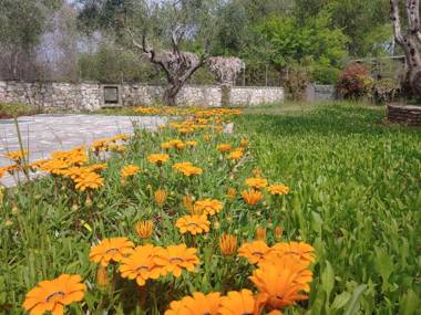 Captain Alex Villa 1