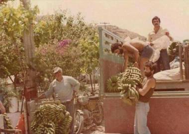 Ariadni Hotel Arvi by Estia