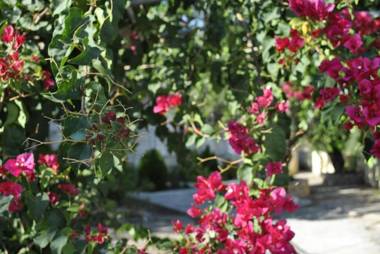 Chouzourakis Studios