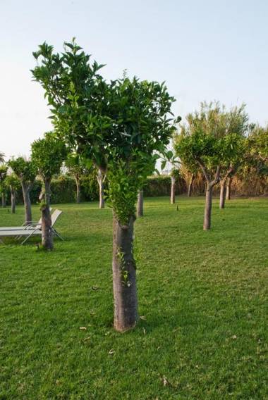 Casa Maria Hotel Apts