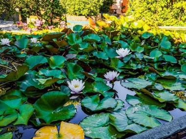 Elegant Holiday Home in Palaiochora near the Beach