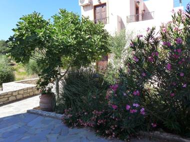 Villa Olga in beautiful countryside large piece of land pool Axos NW coast