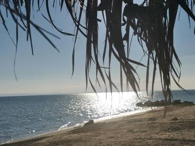 Villa Askamnia Deluxe - Apartment Garden View