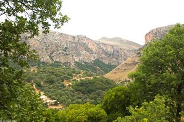 Tsikalaria Traditional Stone House