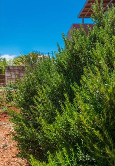 Horizon Villa Kampani