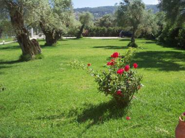 ELAIA - Apartments & Studios