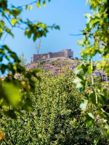 Diamanti Molivos Studios & Apartments