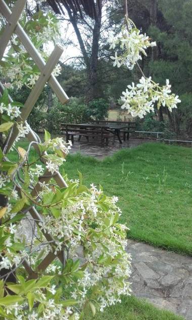 Sithonia Alekos Luxury Experience