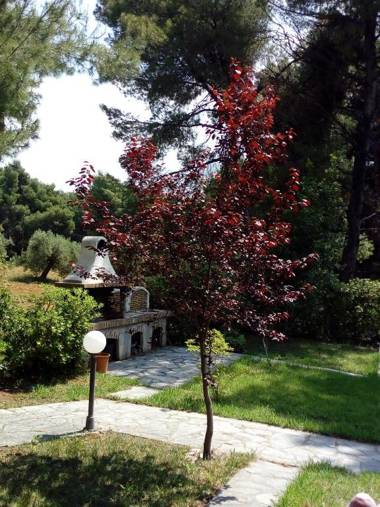 Sithonia Alekos Luxury Experience