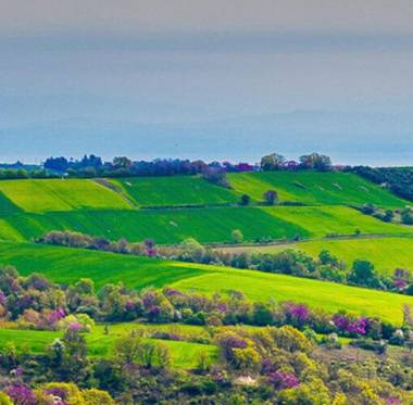 3 Hills Boutique - The Ranch Experience