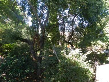 Infinity blue beach apartments