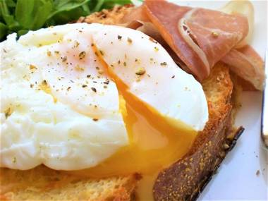 Tree of Life Art Hotel