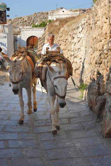 Sarris Studios & Apartments