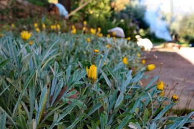 Villa Kardami -country house