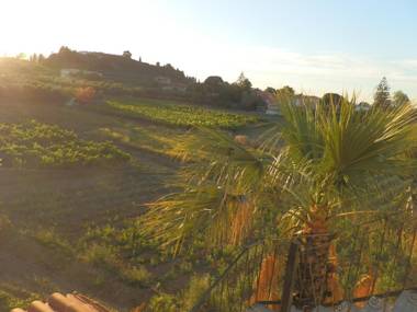 Villa Daizy Boutique Apartments