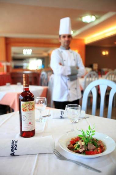 Vanisko Hotel ''By Checkin''