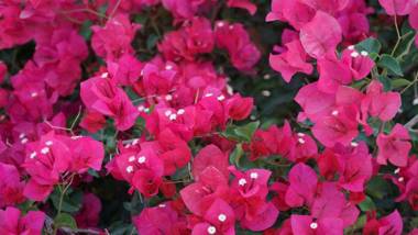 Kasteli Luxury Rooms