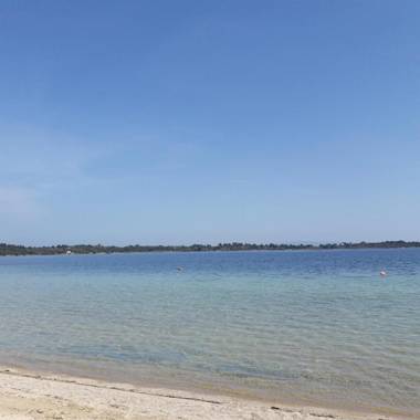 Tiamo Secrets - Palm Garden