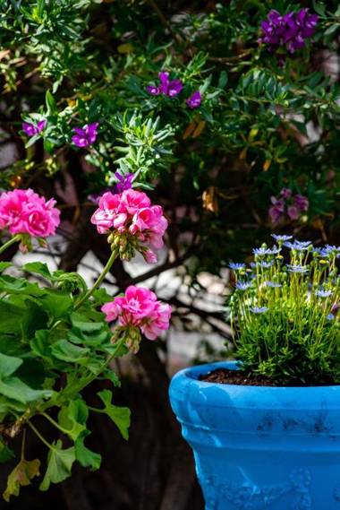 Sideratos Apartments