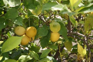 Cozy house close to the beach