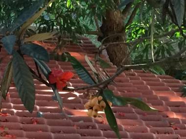 Apart-Hotel Posada San Judas