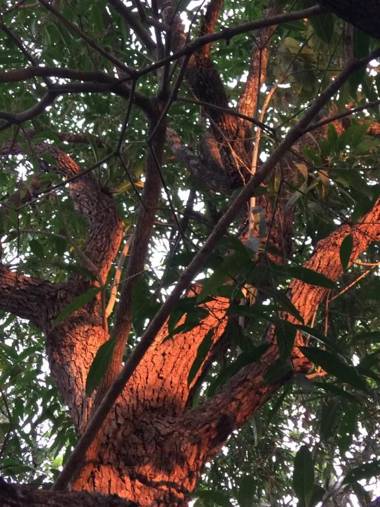 Apart-Hotel Posada San Judas