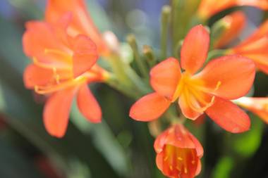 Yellow House Hostel B&B