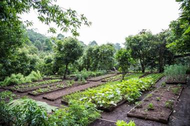 Hotel Boutique y Restaurante Panisté
