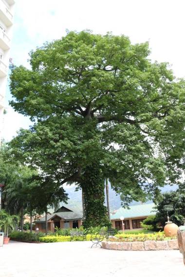 Copantl Hotel & Convention Center