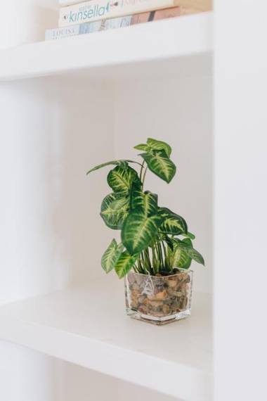 The Beach House Boutique Hotel