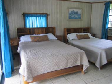 Coconut Tree West End