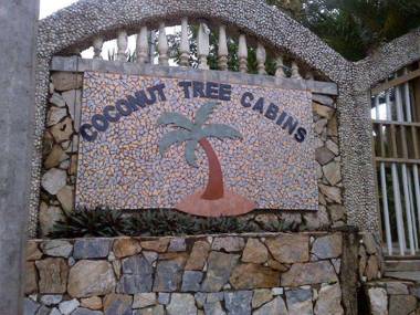 Coconut Tree West End