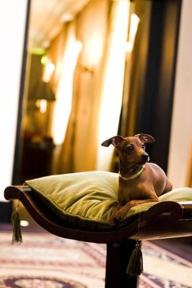 Esplanade Zagreb Hotel