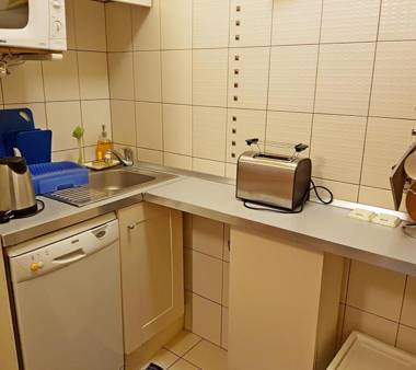 Apartment Lisinski S