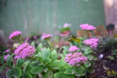 Apartment A.B.S. Secret Garden