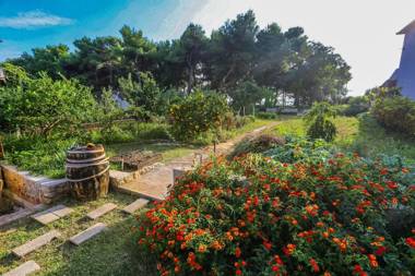 Apartments & Rooms Hosana