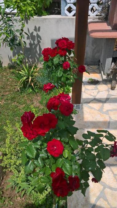 Holiday Home Arbanase