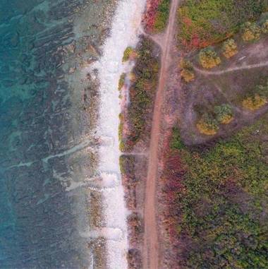 Apartments Punta Amica