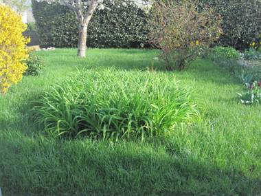 Apartment Ivan - with large terrace