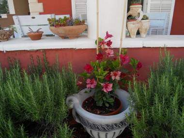 Apartments Depa - garden & BBQ