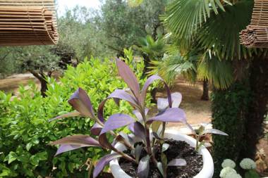 Apartments Araz - parking & grill