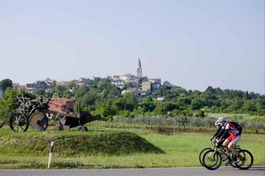 Apartment Complex Villa Visnjan with Pool