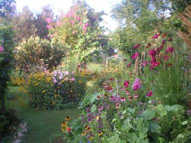 Apartments Ivo - with parking