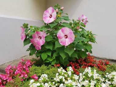 Pansion Maltar Varaždin